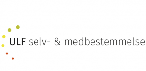 selv- og medbestemmelse som temadag